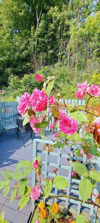 Holiday home Appleyard - Yorkshire Dales